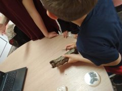IMG_20190604_121532.jpg